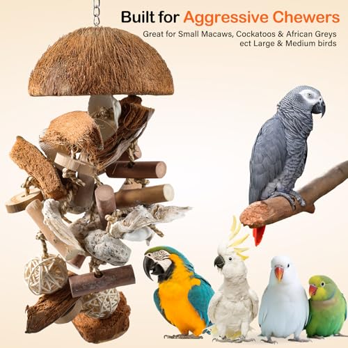 18" Natural Bird Toy for Medium & Large Parrots,Multi-Texture Chew & Forage | Coconut Shells & Lava Stones | Shred For African Greys,Cockatoos, Caiques, Quakers and Conures | Healthy Beak Exercise