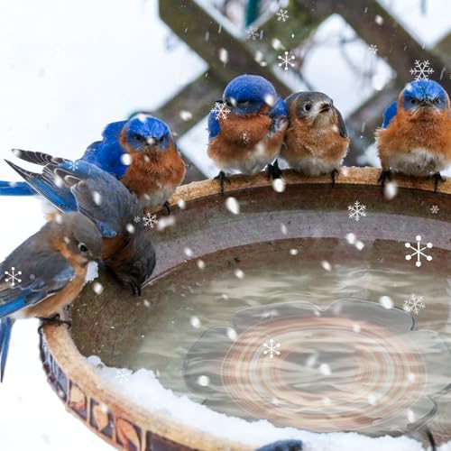 2-Pack 250W Bird Bath Heater for Outdoor Winter Use – Thermostatically Controlled De-Icer for Birdbaths, Ponds & Livestock Water, Keeps Water Ice-Free for Birds, Chickens & Small Animals