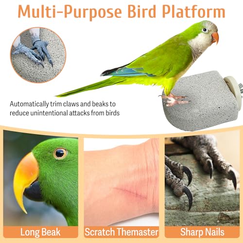 PINVNBY 4 PCS Bird Perch Stands Parrot Calcium Perch Beak Grinding Stone Foot Claws Trimmer Parakeet Platform Parrot Chewing Toys for Small Medium Cockatiel Conure Lovebird Finch - color: Grey, size: M, 4 pcs