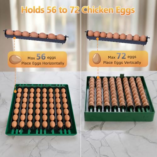 Egg Incubator for Chicken Eggs, Max 72 Egg Incubator with Auto Turner | Large capacity egg hatcher with humidity control, 360° clear view for chicken, duck, quail eggs, farms & classrooms