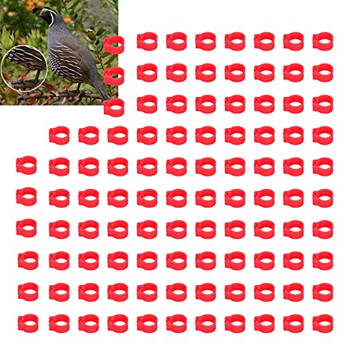 Omabeta Pigeons Foot Ring, Durable Plastic Easy-to-Install Compact Design, Identification Leg Rings, for Pigeon Identification, Red, 8mm, 100 Pieces - color: Red