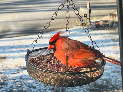 Hanging Bird Feeder, Birdfeeder Hanging for Garden Yard Outside Hanging Bird Feeder Tray - Metal Mesh Platform Feeders for Birds Outside Outdoors Hanging for Attracting Birds, 2Pcs - size: 2 Pack
