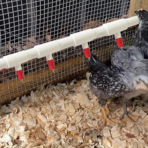 DIY Chicken Watering System - 1/2" PVC Tee Fittings and Chicken Waterer Nipples with PVC Pipe, Stainless Steel Hose, Automatic Chicken Waterer Feeder Kit for Chicken, Duck, Quail