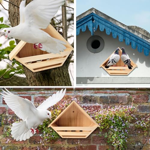 Cedar Mourning Dove Nesting Box, Wooden Dove Bird House for Outdoor | Pre-assemble 14 H x 10 W x 5.2 L Inches Bird Pigeon Doves Nesting and Roosting Platform Hanging Birdhouse Garden Decoration