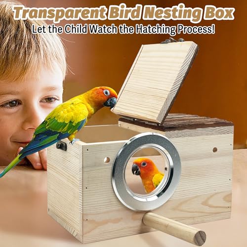 Tfwadmx Parakeet Nesting Box - Wooden Parrot Nest for Cockatiel, Lovebirds, Budgie, Conure - Acrylic Transparent Bird House With Perch for Breeding - style: Style 1