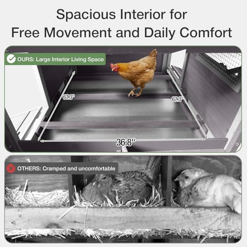 Chicken Coop with Dual Nesting Boxes for 4–6 Chickens, Large Outdoor Chicken Coop Duck House, Compatible with Automatic Chicken Coop Door & Extra Run, 67.3" L x 36.8" W x 40.6" H - size: 67.3"L x 36.8"W x 40.6"H