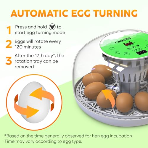 Okkobi M12 Egg Incubator with Automatic Turner and Humidity Control - 12/24 Eggs, 360° View, Easy to Use and Clean - Incubadora de Huevos de Gallina - Made for US - White & Green - color: Green