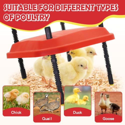 Chick Brooder Heating Plate Adjustable Height and Angle Plate Temperature Display for up to 20 Chicks 50W Chicken Coop Accessories Poultry Heating for Small Chicks,Ducks,Quails