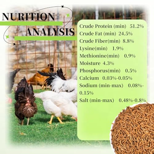 SANSECT 20LB Dried Mealworms for Chickens, Ducks, Wild Birds, Reptile Food | High Protein Treats, 100% Natural, Non-GMO Mealworms for Chickens, Ducks, Turtles and Reptiles and Laying Hens - size: 10 Pound (Pack of 2)