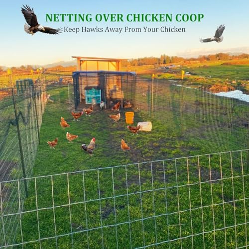CITOOTY Bird Netting for Chicken Coop Run, 25x50 Ft Heavy Duty Poultry Netting with 2.4" Mesh, UV Resistant Black Net Garden Netting for Fruit Trees, Vegetable Plants, and Yard Protection - size: 2.4", 25' x 50'