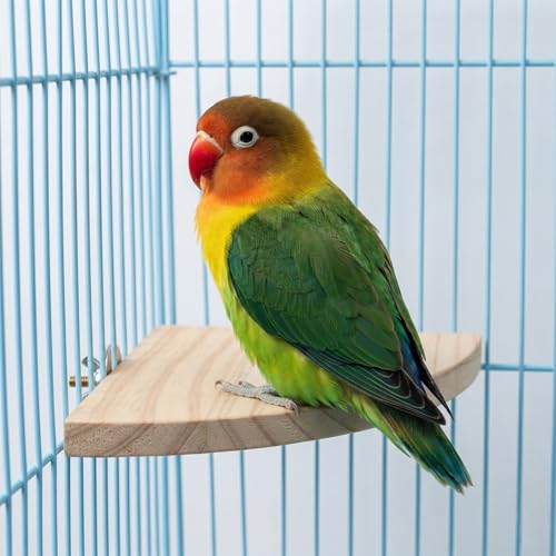 2 Pack Bird Platform Wood Flat Perches for Bird Cages Fan Shape Birds Cage Platform with Stainless Steel Washers for Birds Cages Corner Shelf Parrots Hamster Gerbil(5.1inch, 6.7inch)