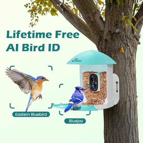 Smart Bird Feeder with Camera Solar Powered, Auto Record 2K HD Videos | AI Bird Identification & Instant Alerts, Birdwatching Live, Outdoor Birdhouse with Cam, for Mom/Dad/Birdlovers, Light Blue - color: Blue