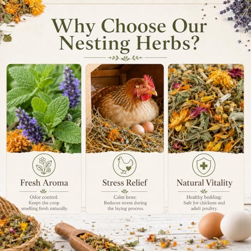 MAQIHAN 20oz Chicken Nesting Herbs - Dried Poultry Herbs for Coop Boxes | Natural Bedding Decor for Hens, Ducks, Laying Areas, Box Pads, Habitat Refresher, Winter Supplies, Vacuum Packed - size: 1.25 Pound (Pack of 1)
