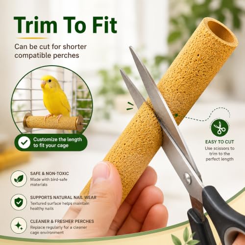 Sanded Perch Covers for Parakeets, Finches & Canaries | 10 sanded perch covers for small birds. Helps maintain nails, improves grip, fits 3/8” perches.