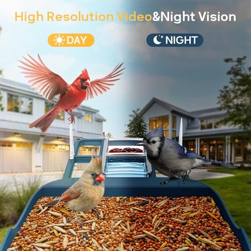 FHD Bird Feeder with Camera,Solar Powered Bird House Camera | Auto Record Video to Cloud Storage,Ideal Gift for Dad and Mom,Built-in AI Bird Recognition,Wireless,Only 2.4G WIFI