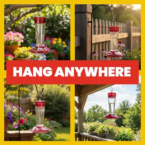 More Birds Bird Health+ Ruby Hummingbird Feeder, Glass Hummingbird Feeders for Outdoors, 4 Feeding Stations, 10 Ounces, Ruby Red