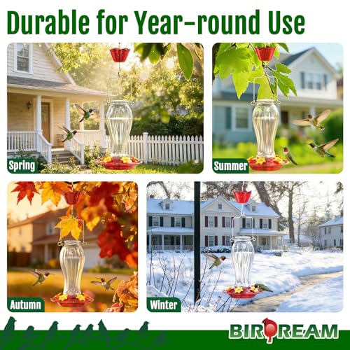 Birdream Glass Hummingbird Feeders, 18oz Large Capacity, Clear | 5 Feeding Ports, Built-in Ant Moat, For Outdoors Hanging, Decorative for Garden Patio Backyard - color: Clear