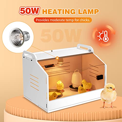 Chicken Brooder Box for Chicks with Heating Lamp Up to 10 Chicks | Quail Brooder with Heating Lamp, 2 Mode Thermometers Warms Up to 10 Chicks for Duckling Parrot Lizard