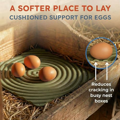 Lil'Clucker Washable Chicken Nesting Pads for Laying Eggs Nesting Pads for Chicken Coop Nesting Chickens Durable Chicken Bedding for Coop, Poultry Nest Box Pads for Chickens (Green, 6-Pack) - color: Green, size: 6-Pack
