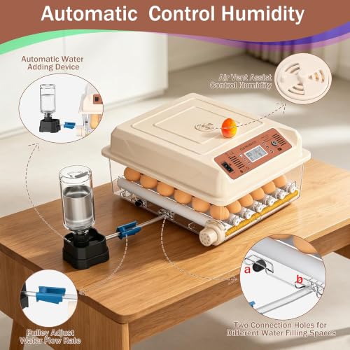 36 Eggs Incubators, Chicken Incubator with Automatic Egg Turning | Incubators for Hatching Chicken Eggs, Quail Incubator with 4 Auto Incubate Mode, with Humidity Display Auto Water Filling - color: White, size: 36 Egg