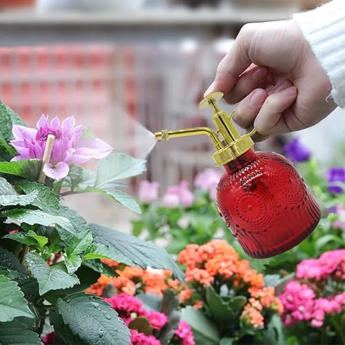 Glass Plant Mister Spray Bottle, 230ML Vintage Plant Spritzer, Succulent Watering Bottle Glass with Top Pump, Small Plants Sprayer Watering Can for Indoor Outdoor House(Red) - color: Red