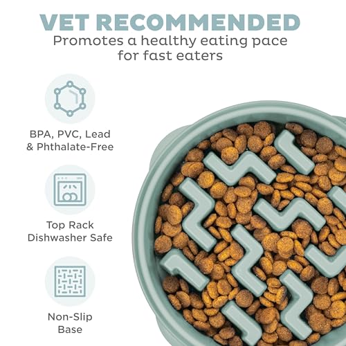 Outward Hound Medium Slow Feeder Bowl, Puzzle Maze for Fast Eaters, Small to Medium Dogs, Helps Prevent Bloat & Aid Digestion, Holds 2 Cups Wet or Dry Food, Non-Slip, Made Without BPA, Sage - color: Sage, size: Medium