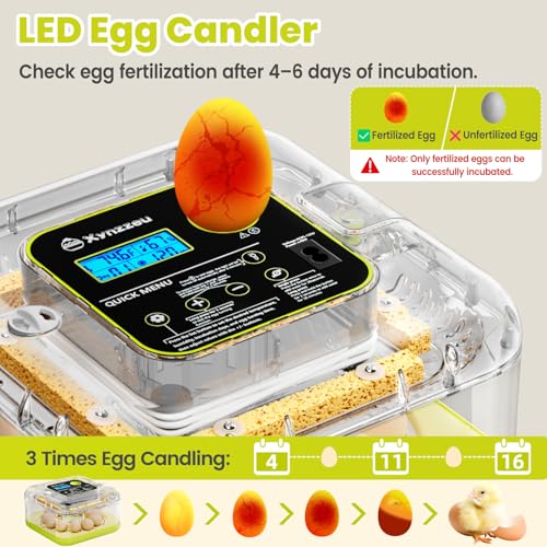 Egg Incubators for Hatching Eggs, 12 Egg Incubator with Automatic Egg Turning and Humidity Control, Incubator for Chicken/Quail/Duck Eggs with Temperature Control/LED Egg Candler, 360 Degree View