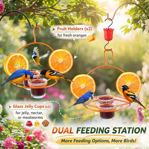 2 Pack Oriole Bird Feeder for Outdoors Jelly and Oranges, Hanging Oriole Feeder with Ant Moat & 2 Glass Cups & Cleaning Brush & Screwdriver, Metal Bird feeders for Outdoors for Jelly Nectar (2 Cups)
