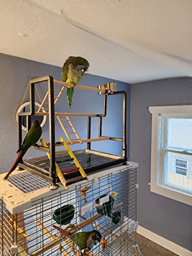 Bird Playground, Playstand for Small to Large Birds with Collapsible Metal Frame, Heavy Duty Quick-Install No Tool Request, 4 Standing Perch, 2 ladders and 2 Bird Cups