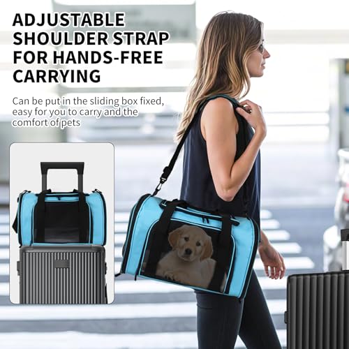 Pet Carriers Soft-Sided Airline Approved Carrier Bag for Small Cats Dogs (Medium,Blue) - color: blue, size: 17.0"L x 11.0"W x 11.0"H