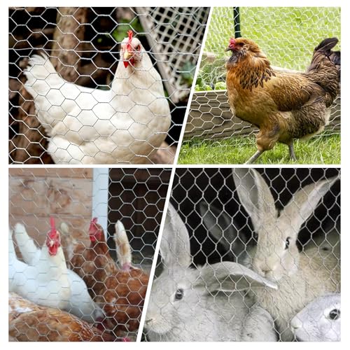 Chicken Wire Netting Galvanized Wire Mesh Hexagonal Fencing for Poultry Garden Fencing Barrier 6FTx50FT - size: 6FTx50FT