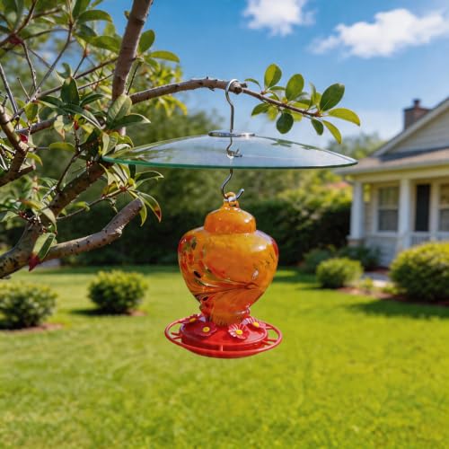 13" Large Glass Rain Cover for Bird Feeder, 2-Pack Clear Weather Guard Dome | Stainless Hooks Squirrel Baffle, Dual Use Protective Shield on Shepherd Pole or Hook Hanging, Bird House Protector, Dia. 33cm - color: Clear, size: 2PC/Pack