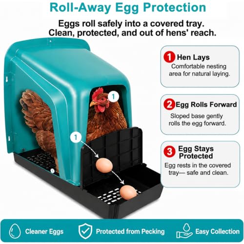 Chicken Nesting Boxes Chicken Laying Boxes with Egg Roll Out Nesting Boxes for Chickens Coop Nest Box Large, Easy to Install, Waterproof and Durable (Green, 6 Pack) - color: Green, size: 6 Pack