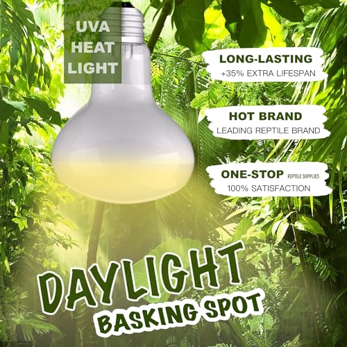 Reptile Heat Bulb Lamp, 2-Pack 100W Daylight Basking Spot, Bearded Dragon/Turtle/Lzard/Gecko Light Bulb, UVA Heat Lamp, Basking Light for Reptiles - size: 100W
