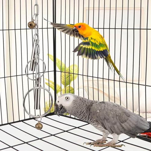 Hypeety Stainless Steel Bird Bell Toys Heavy Duty Hanging Bell Toy for Cage | Rustproof, durable, safe for metal cage, easy-hanging, with 2 rings, for cockatoos/macaws/african grey/large parrots and bird - color: Bells+Rings