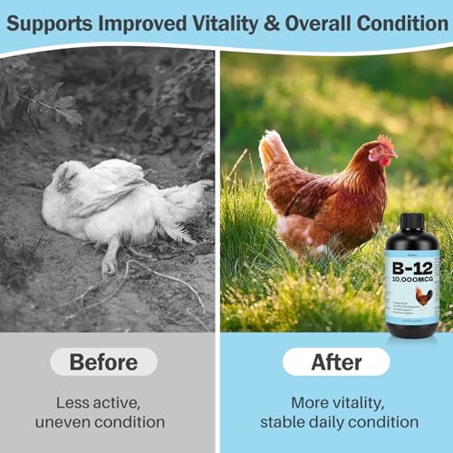Vitamin B12 Liquid for Poultry, 10000 MCG Nutritional Supplement for Chickens, Supports Daily Vitality & Development, Liquid Vitamin Feed Additive for Hens, Roosters, Ducks, Geese & Turkeys