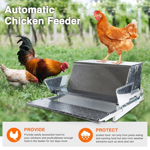 Rat Proof MAX-25Lbs Treadle Chicken Feeder No Waste Poultry Feeder | Weatherproof galvanized metal durable, Rodent-proof design, Reduces feed waste, Well-constructed, Easy setup