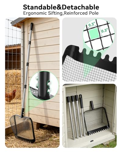 12" Chicken Poop Scooper, Stainless Steel Handle (36–62") | Light weight chicken coop scoop, Litter Scooper & Sand Sifting Shovel for chicken sand, Pet Waste Cleaning，Stables, Gardens