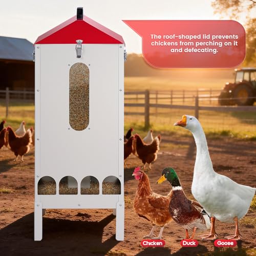 70-85lbs Automatic Chicken Feeder No Waste Gravity Poultry Feeder | Large Capacity Galvanized Chicken Food Dispenser with 16 Ports and Visible Feed-Level, for Duck, Goose,Turkey, Tapered Lid
