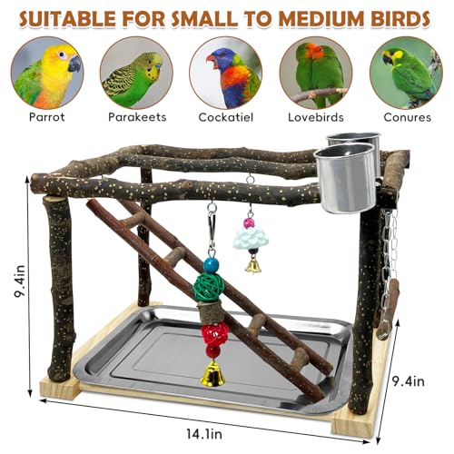Tfwadmx Parrots Playstand Bird Play Gym Cockatiel Playground Wood Perch Stand Climb Swing Ladders Chewing Toys with Feeding Cups Exercise Activity Center for Conure Cockatiel Lovebirds