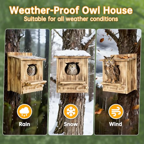 Owl Nesting Box for Outside 14.2×12×7.5 Inch Screech Owl House Bird House | Owl-Shaped Entrance, Wooden Bird Box, Easy to Install, Ideal For Backyard Birding & Wildlife