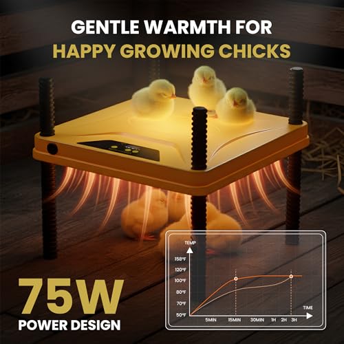 Chick Brooder Box and Heating Plate Starter Kit – Large Indoor Brooder Pen with 75W Adjustable Heat Plate, Feeder, Waterer & Cleaner – Complete All-in-One Chick Coop for 10-15 Chicks