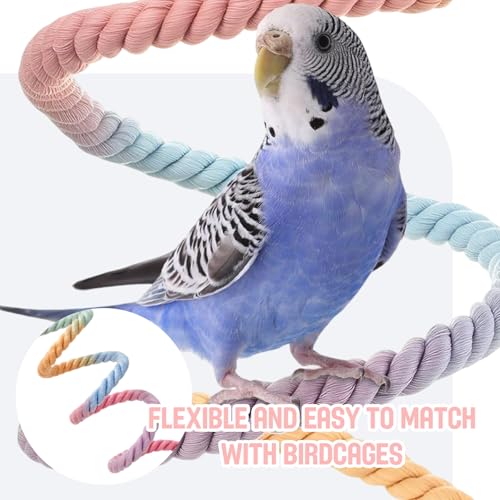 2pcs Gradient Colorful Bird Rope Perch Stand,Hanging Bird Rope Perch Stand Extra Long Gradient Color Swing,Double-Layer Bird Swing,Bendable Climbing,Parakeet Lovebirds Budgies Play(59'',10''E)