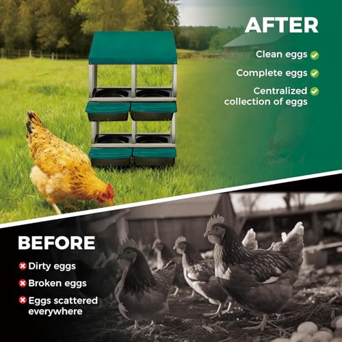 4 Hole Chicken Nesting Boxes, Weatherproof Galvanized Steel Chicken Egg Laying Box with Automatic Rollout Egg Collection, 2-in-1 Handle Perch, Easy Clean & Quick Assemble for Chicken Coop - color: Green, size: 4 holes 2 layers