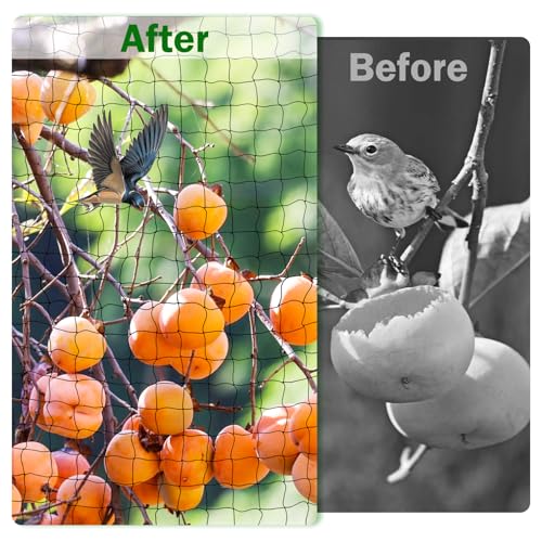 Bird Netting for Chicken Coop 25 X 50 Ft 1" Square Mesh Heavy Duty Chicken Run Netting Roof Cover Against Hawks, Eagles, Owls, UV Resistant, for Garden, Fruit Tree, Plant, Vegetable Protection - size: 1 inch mesh - 25 x 50 ft