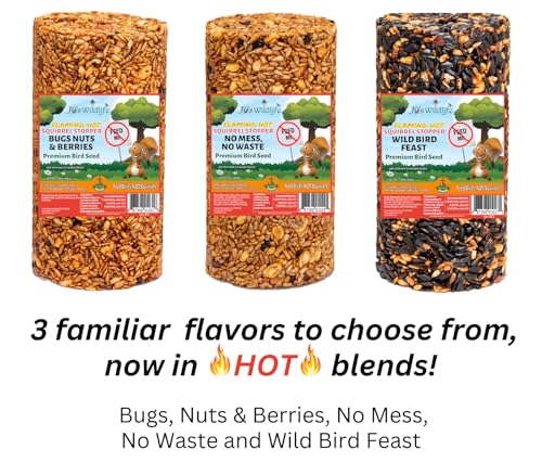 JCs Wildlife Squirrel Stopper Bugs Nuts & Berries Small Cylinder 1.5lbs (12-Pack) - size: 1 Count (Pack of 12)