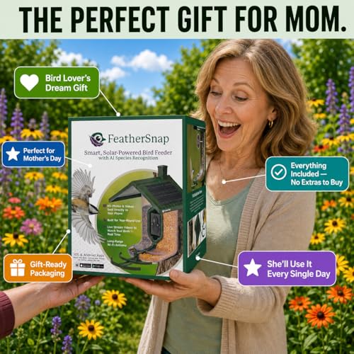 FeatherSnap Smart Bird Feeder with Camera – Solar Powered, AI Bird ID, 1080p HD Night Vision – Includes Mounting Pole – Bird Feeder with Pole