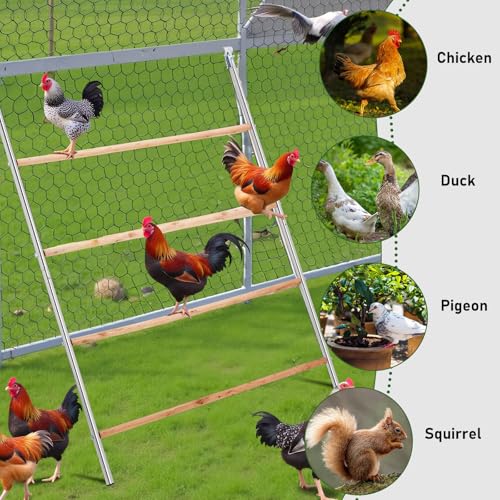 VINGLI Chicken Roosting Bars, Chicken Coop Roosting Perch, Roosting Ladder for Hens, Easy to Assemble for Backyard Poultry (41.3" L x 56.7" H) - size: 41.3"L x 56.7"H