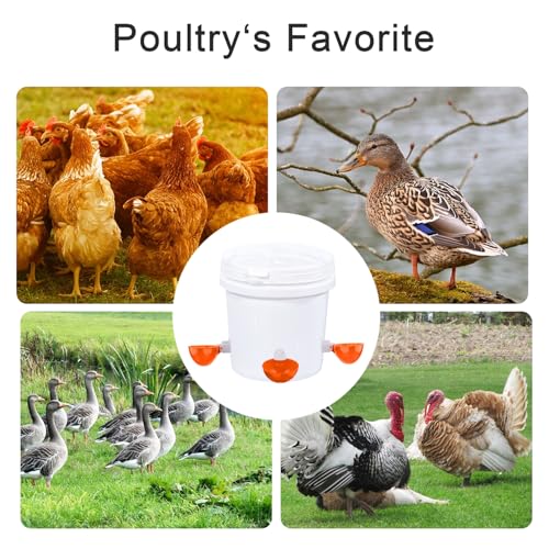Chicken Waterer Cups, 8 Packs Orange Large Chicken Watering Cups | Automatic Chicken Water Cups, Tee Fittings Poultry Feeder Cups Suitable for Chicken, Duck, Turkey with Mounting Hole Opener - color: Orange