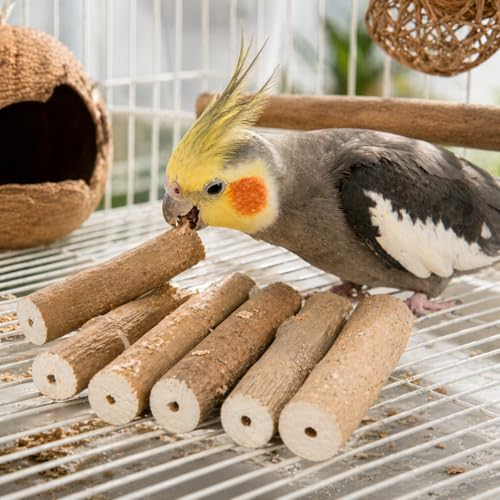 1211 Pk6 Natural Bark Sola Sticks, 6-Pack, 3" Long, 1.25" Diameter, Soft Chew and Foraging Toy for Birds, Parrots, Parakeets, Cockatiels, Lightweight, Natural, Safe, Eco-Friendly | Natural sola root sticks with center holes for chewing, shredding, toy mak
